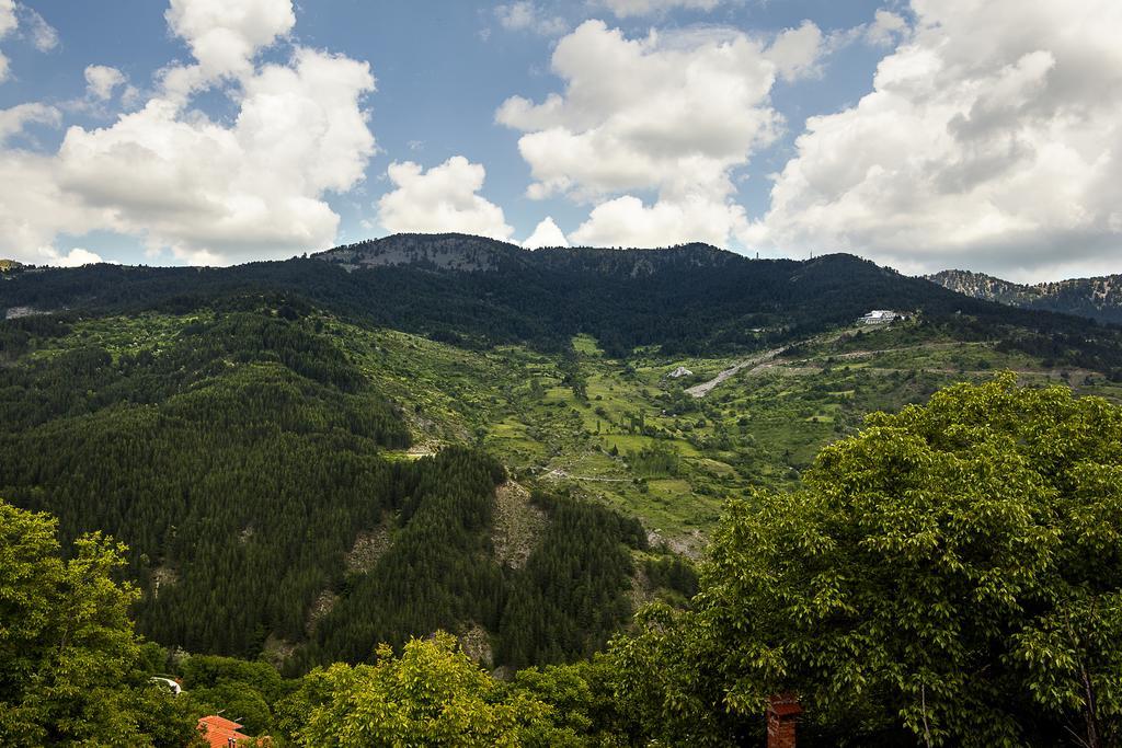 Aroma Dryos Spa & Eco Hotel Metsovo Chambre photo