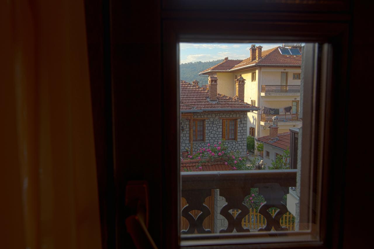 Aroma Dryos Spa & Eco Hotel Metsovo Extérieur photo